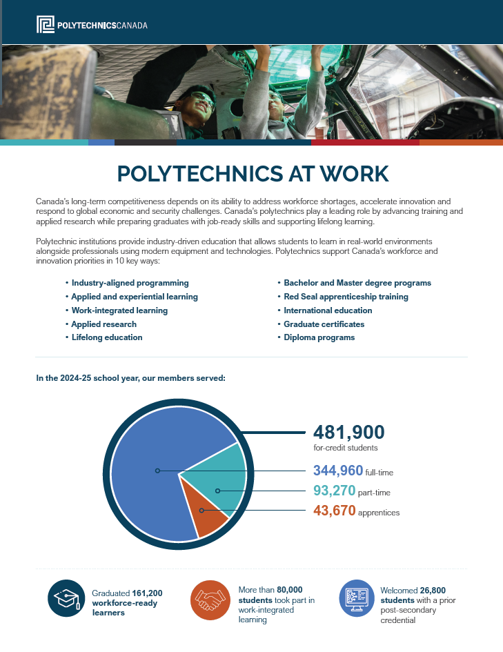 Polytechnics at Work